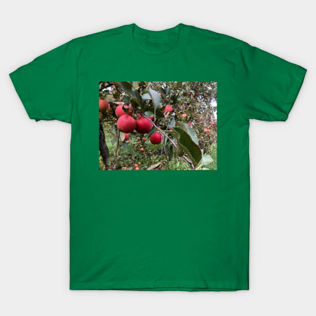 Apple Branch in the Apple Orchard T-Shirt by Humerushumor